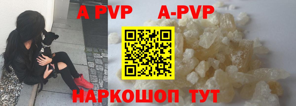 Alfa_PVP СК Химки