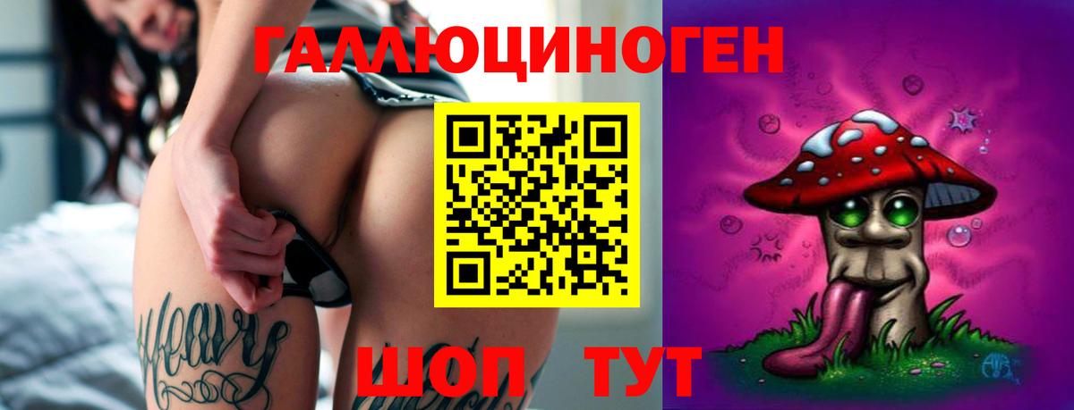 Галлюциногенные грибы прущие грибы Химки